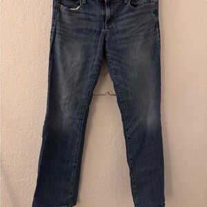 American Eagle Outfitters Dark Wash Straight Leg Jeans